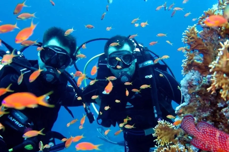 Scuba Diving