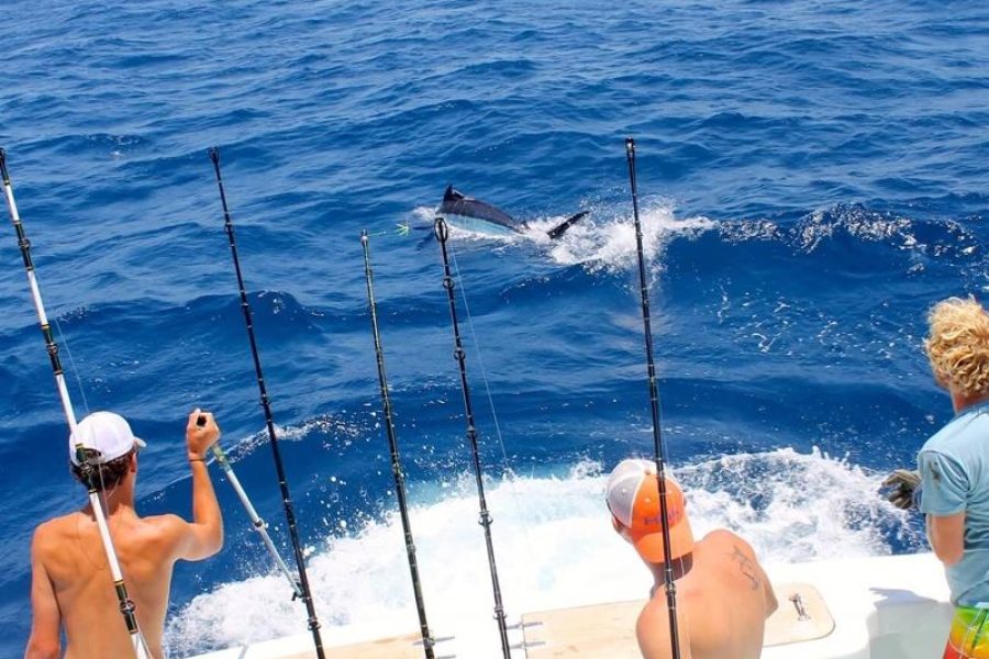 Alanya Fishing Tour
