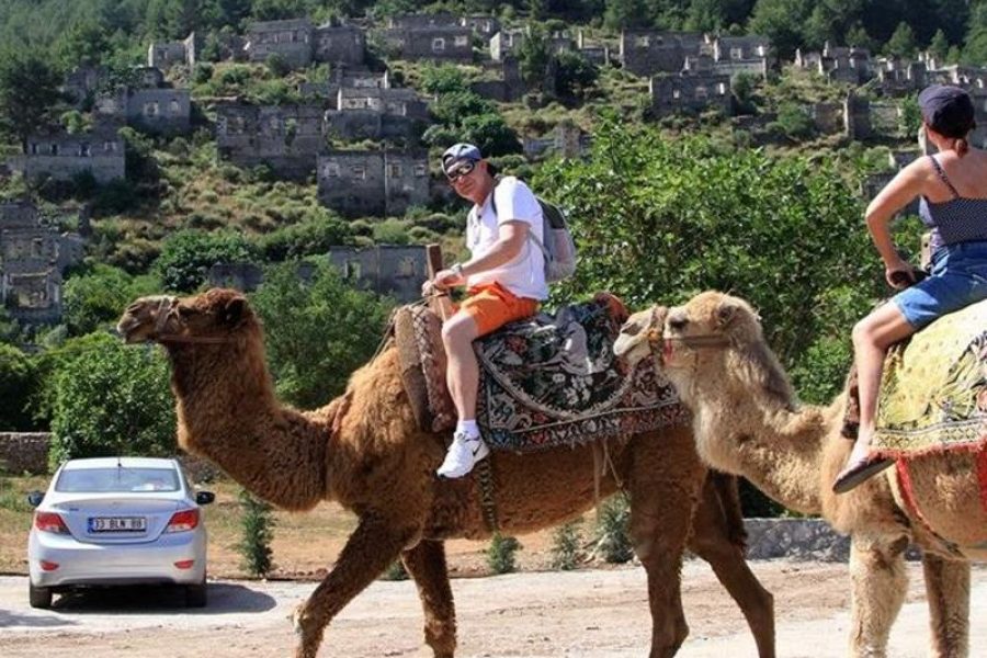 Fethiye Camel Riding