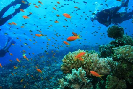 Marmaris Scuba Diving With Two Dives
