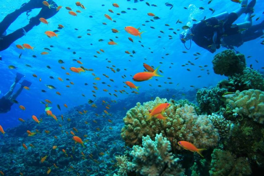 Marmaris Scuba Diving With Two Dives